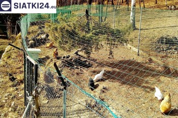 Siatki Złotów - Siatka na woliery - zabezpieczenia ptaków w hodowli dla terenów Złotowa
